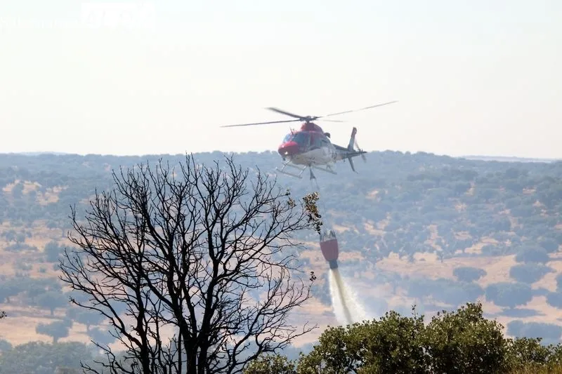 Foto 8 - Un incendio en una finca de Terradillos moviliza un amplio despliegue a&eacute;reo y terrestre