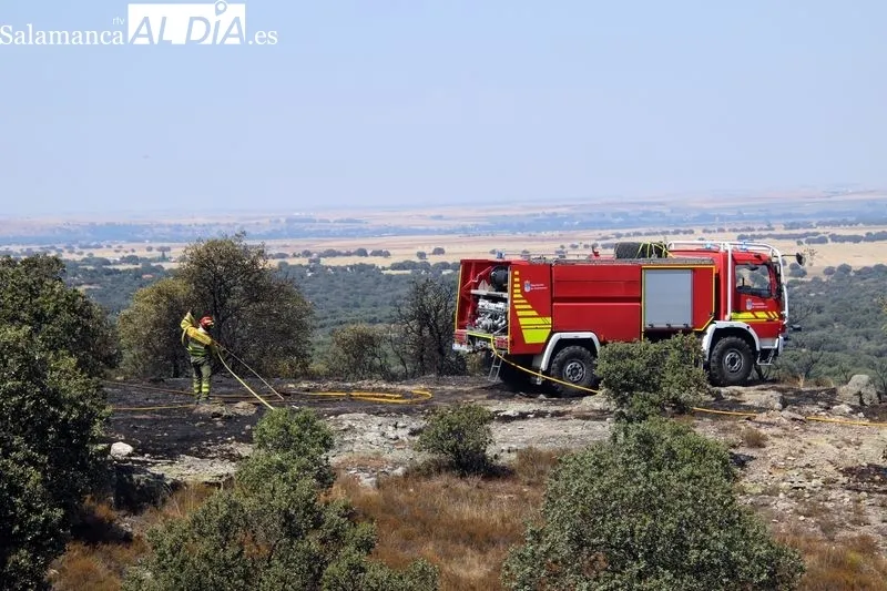 Foto 7 - Un incendio en una finca de Terradillos moviliza un amplio despliegue a&eacute;reo y terrestre