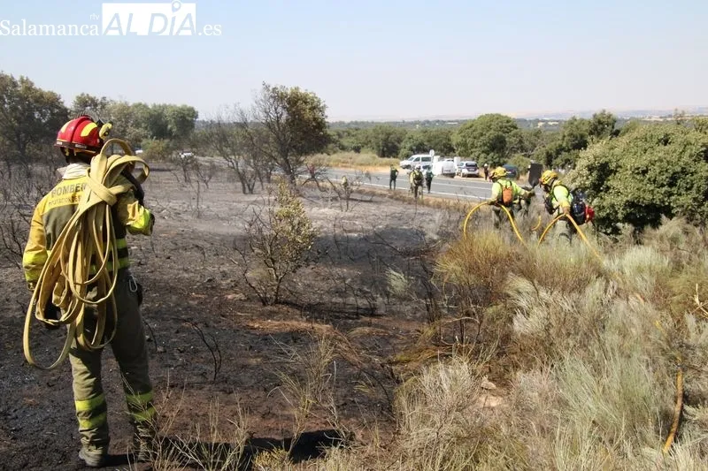 Foto 5 - Un incendio en una finca de Terradillos moviliza un amplio despliegue a&eacute;reo y terrestre
