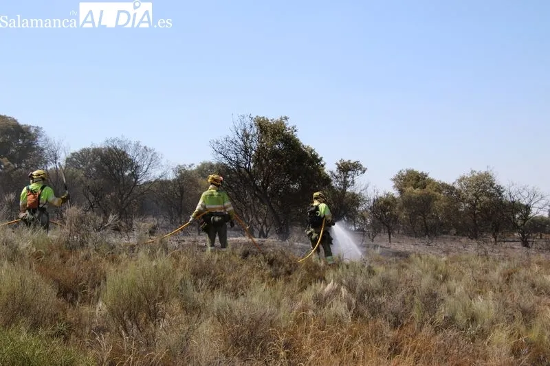 Foto 4 - Un incendio en una finca de Terradillos moviliza un amplio despliegue a&eacute;reo y terrestre