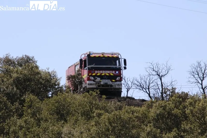 Foto 3 - Un incendio en una finca de Terradillos moviliza un amplio despliegue a&eacute;reo y terrestre