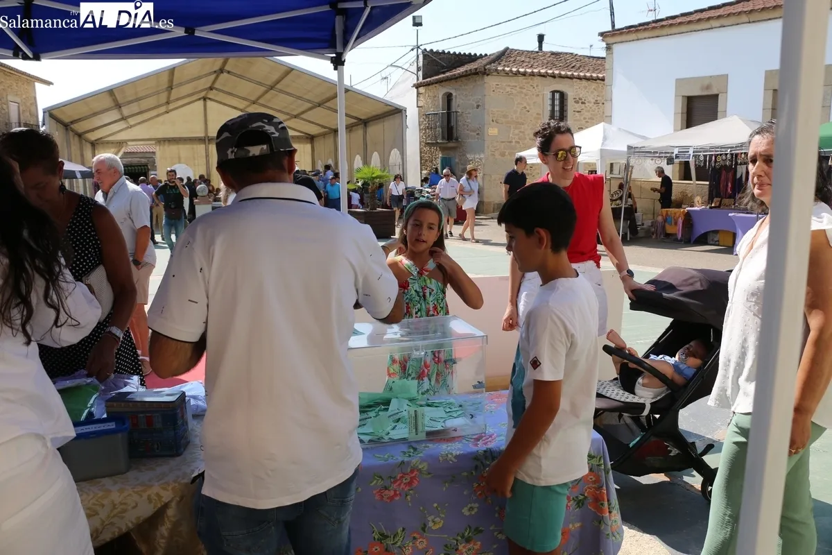 La Feria Agroalimentaria y de las Tradiciones de Bogajo adquiría esta edición cierto sabor taurino / CORRAL 