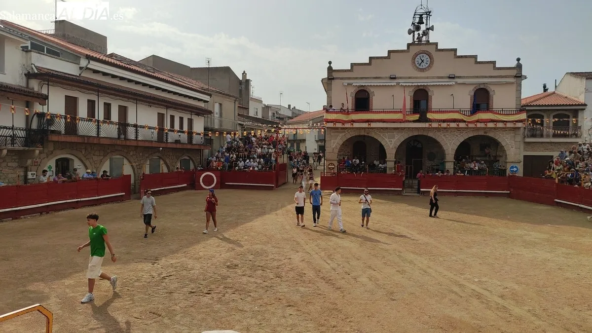 Segundo encierro con novillos de La Campana en Villarino