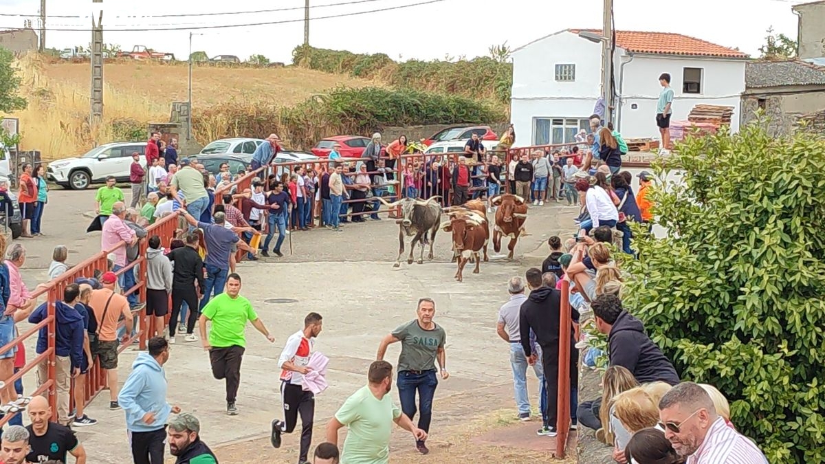 Encierro de Rollanejo en Pereña de la Ribera