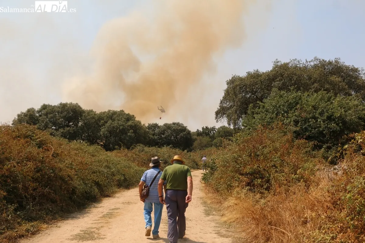 Importante operativo de medios de extinción y respuesta masiva de voluntarios con más de 150 personas de la zona colaborando en las tareas / CORRAL 