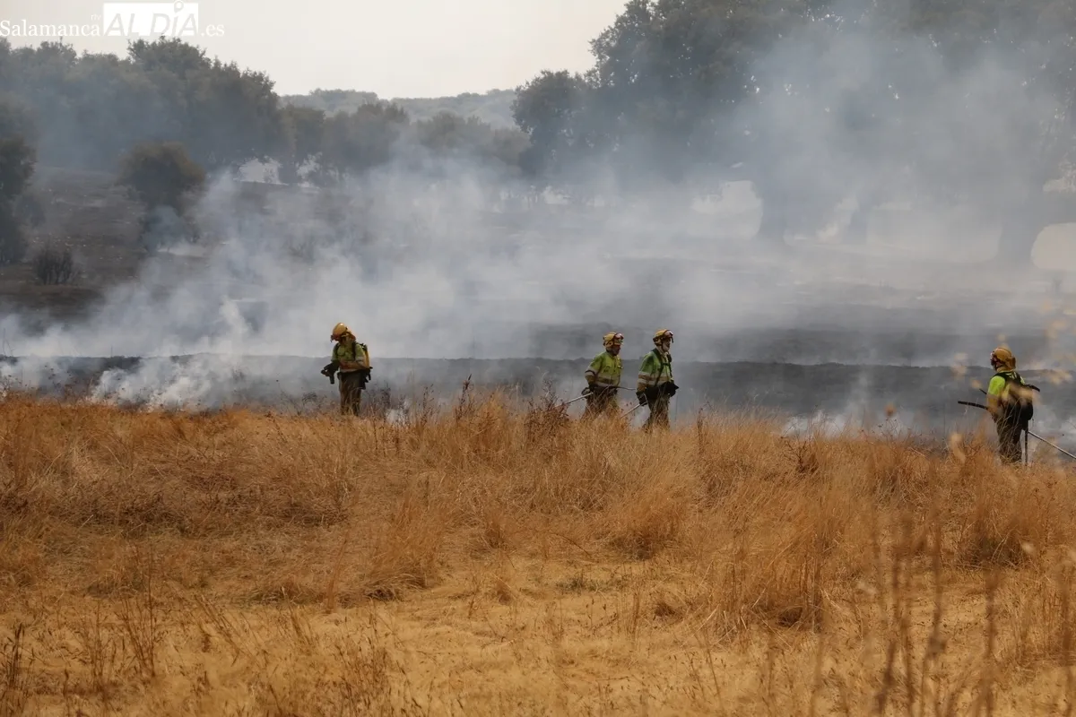 Importante operativo de medios de extinción y respuesta masiva de voluntarios con más de 150 personas de la zona colaborando en las tareas / CORRAL 