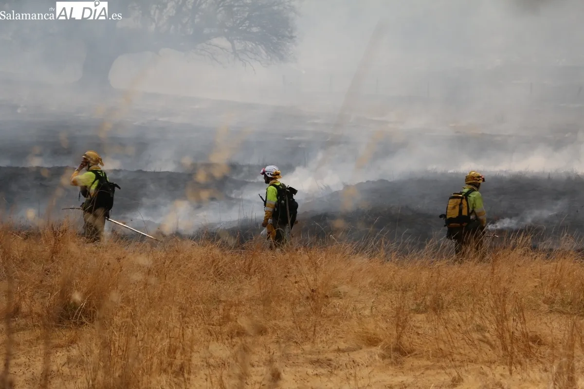 Importante operativo de medios de extinción y respuesta masiva de voluntarios con más de 150 personas de la zona colaborando en las tareas / CORRAL 