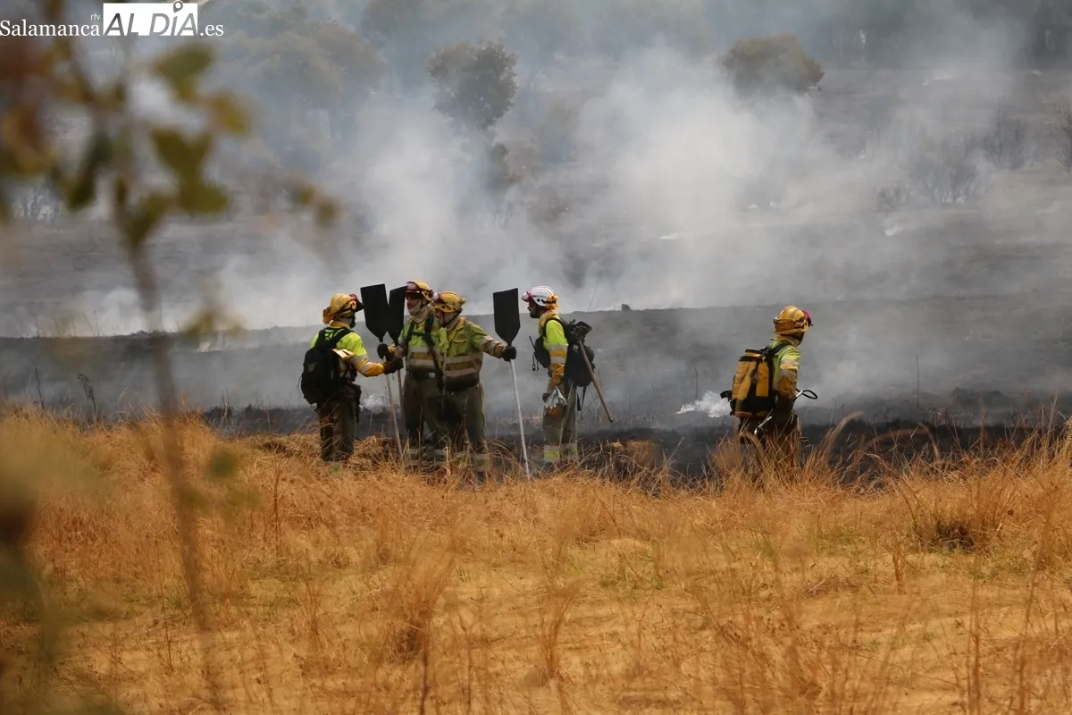 Importante operativo de medios de extinción y respuesta masiva de voluntarios con más de 150 personas de la zona colaborando en las tareas / CORRAL 
