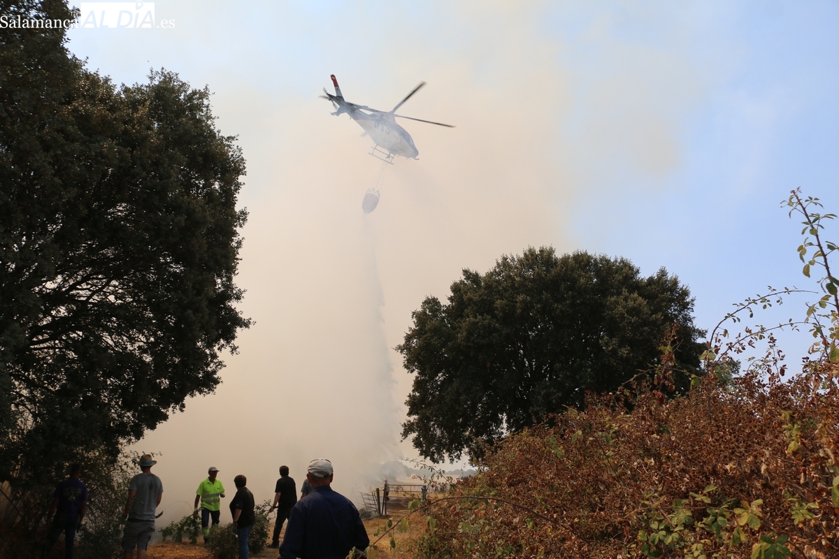 Incendio forestal en Moronta