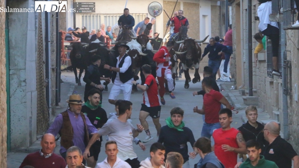 Encierro de Rollanejo, primero de las fiestas de Aldeadávila 2025 