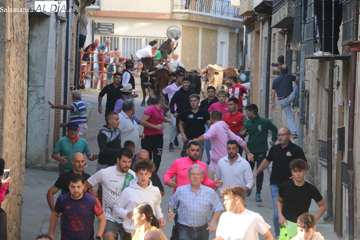 Accidentado encierro de Valdeflores en Aldeadávila de la Ribera