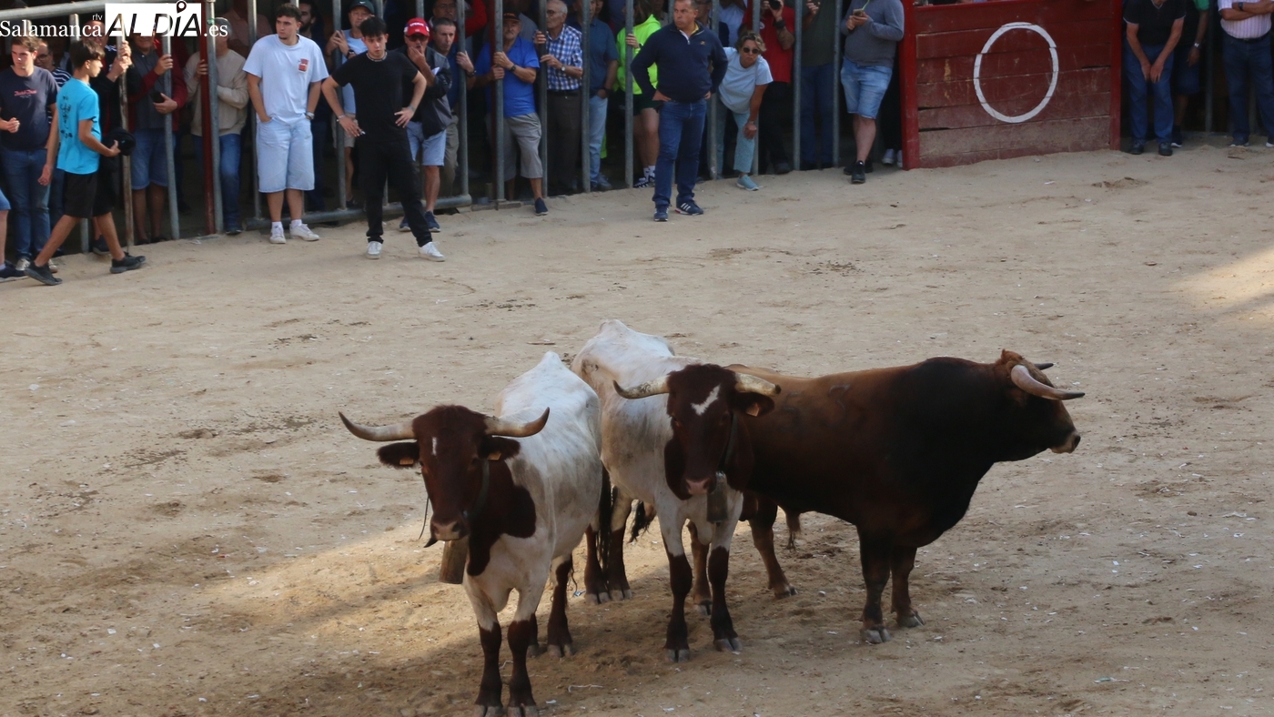 Premios Fiestas del Toro Aldeadávila 2025: ganadores