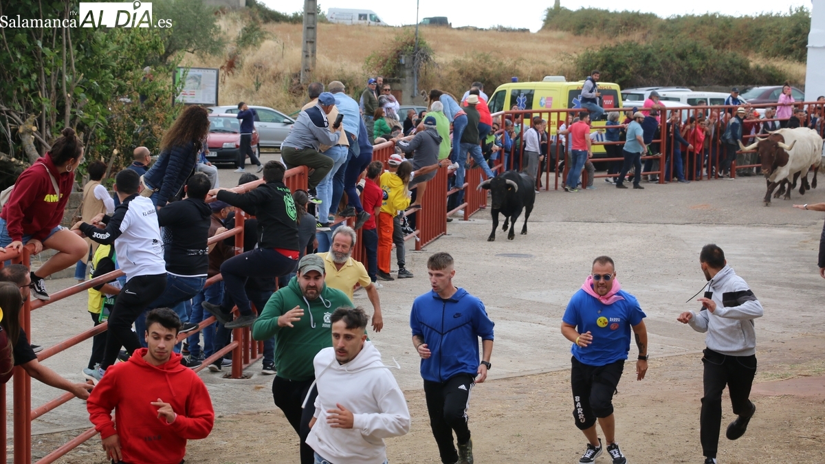 Fiestas de Pereña de la Ribera 2025: programa completo