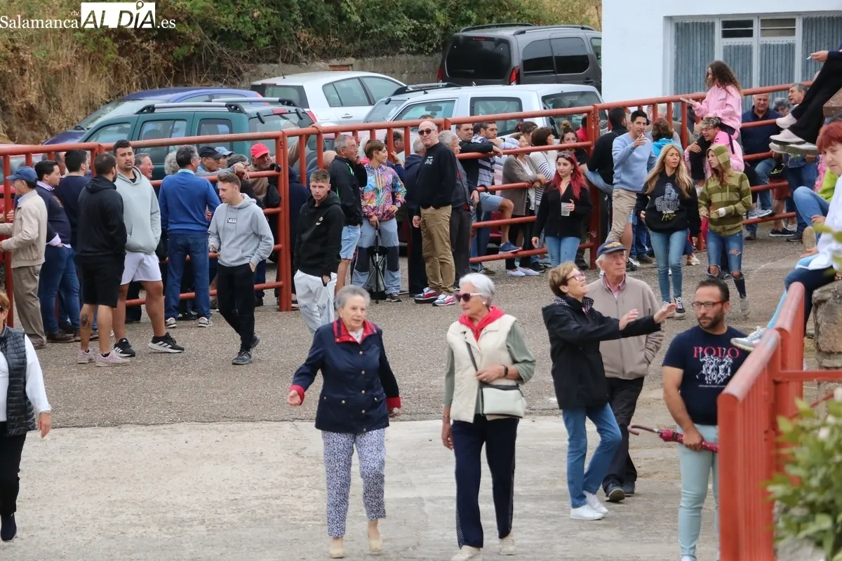 Bonito y rápidísimo encierro de Valdeflores en Pereña animado por las peñas y la charanga La Escala 2.0 / CORRAL Y SÁNCHEZ