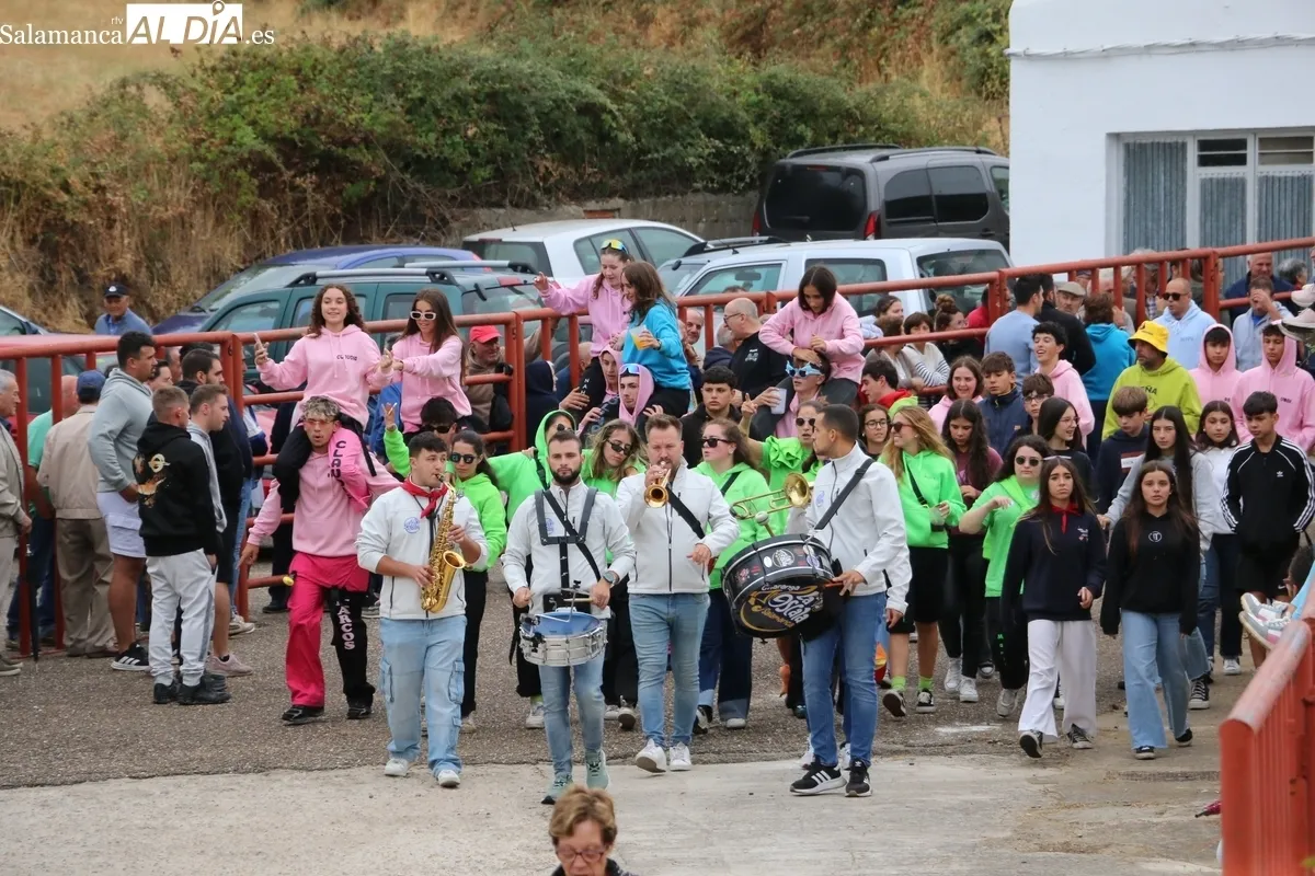 Bonito y rápidísimo encierro de Valdeflores en Pereña animado por las peñas y la charanga La Escala 2.0 / CORRAL Y SÁNCHEZ