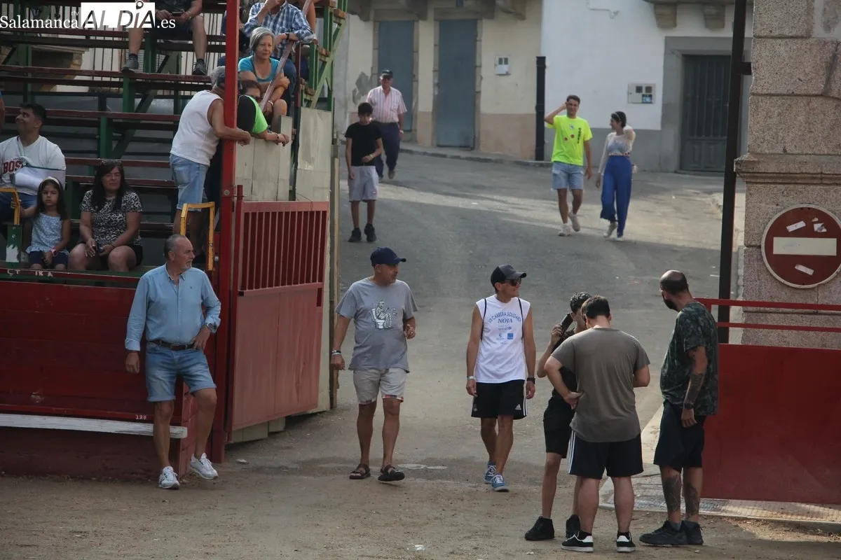 Segundo encierro con novillos de La Campana en Villarino