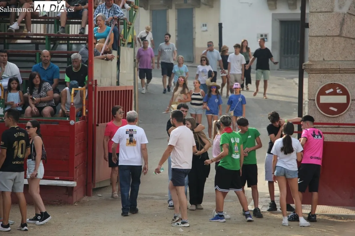 Segundo encierro con novillos de La Campana en Villarino