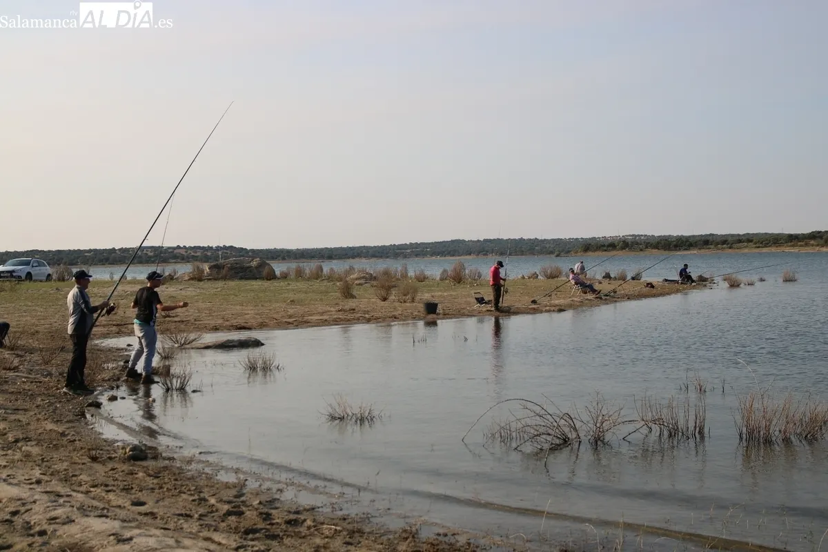 Ambiente de gran deportividad el que se respiró este domingo en el  XIV Encuentro de Pesca San Roque de la Asociación Bajo-Tormes / CORRAL 