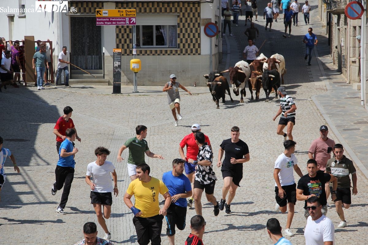 Fiestas de Vilvestre 2025: éxito del primer encierro