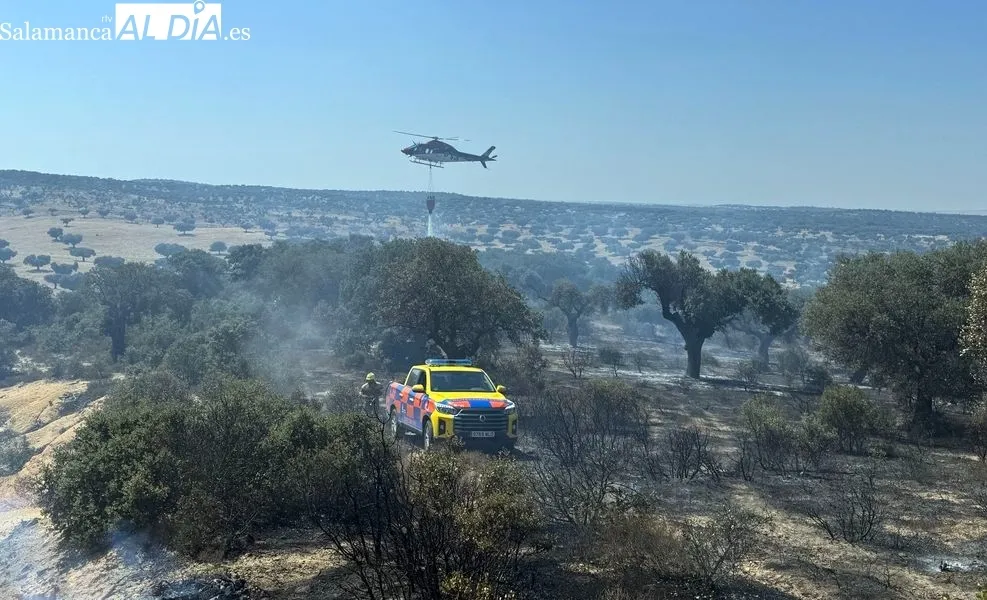 Foto 2 - Un incendio en una finca de Terradillos moviliza un amplio despliegue a&eacute;reo y terrestre