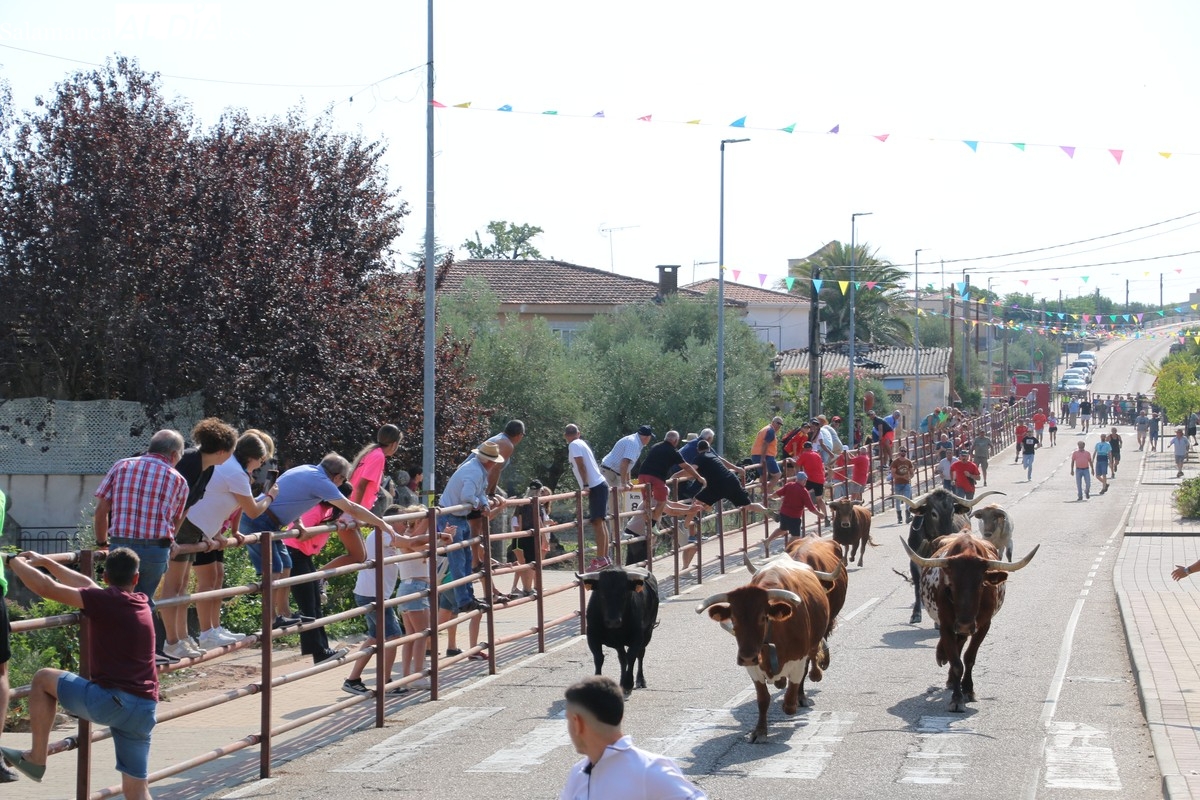 Fulgurante encierro de Ignacio López Chaves en Villarino