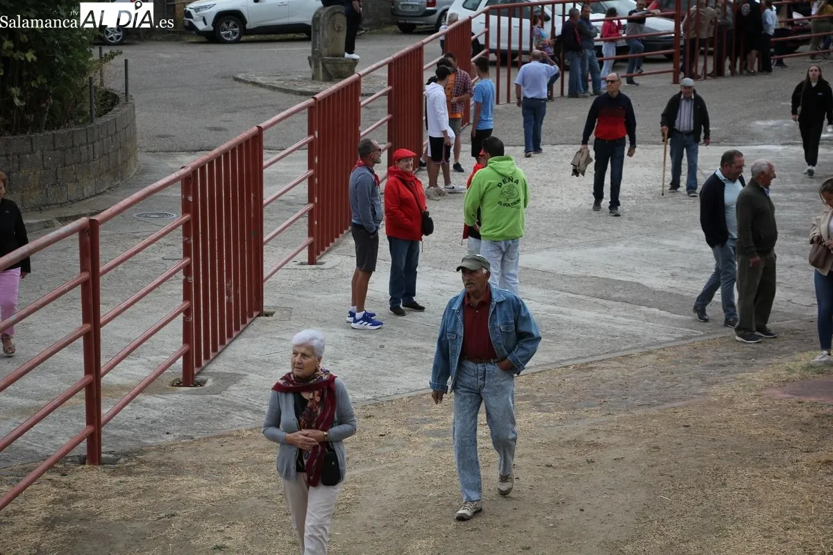 Encierro de Rollanejo en Pereña de la Ribera / M. S.