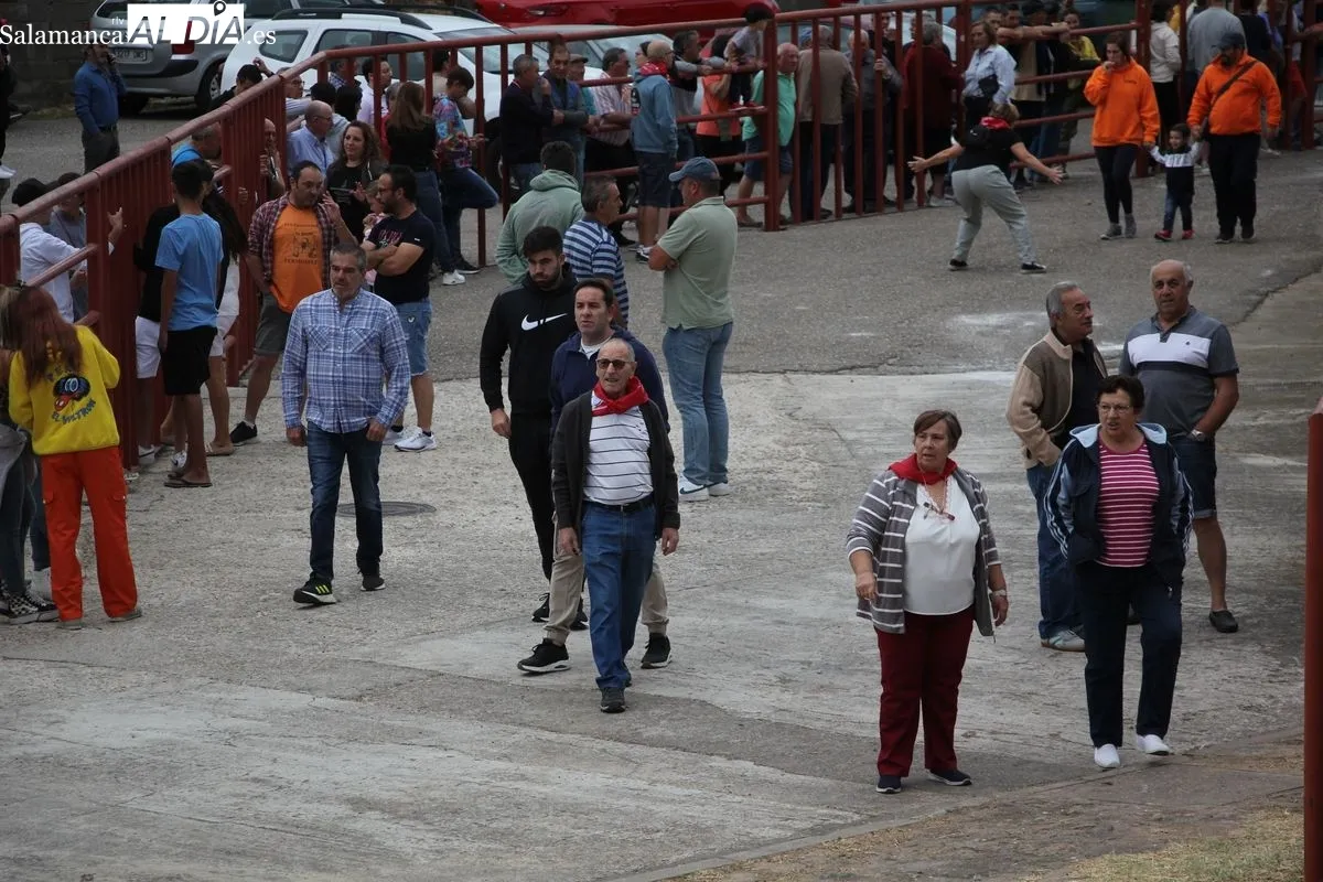 Encierro de Rollanejo en Pereña de la Ribera / M. S.