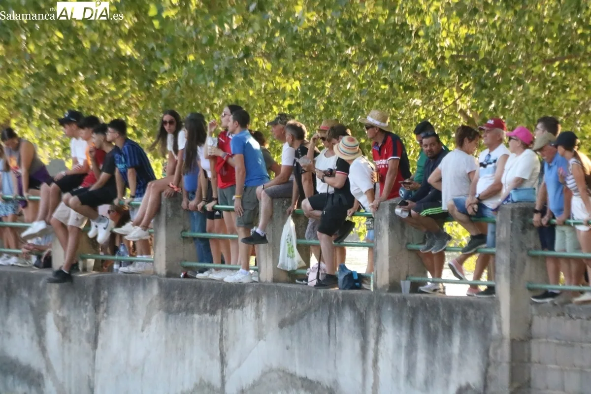 Desenjaule de los novillos que se lidiarán los días 25, 26, 27 y 28 de agosto en Aldeadávila / CORRAL 