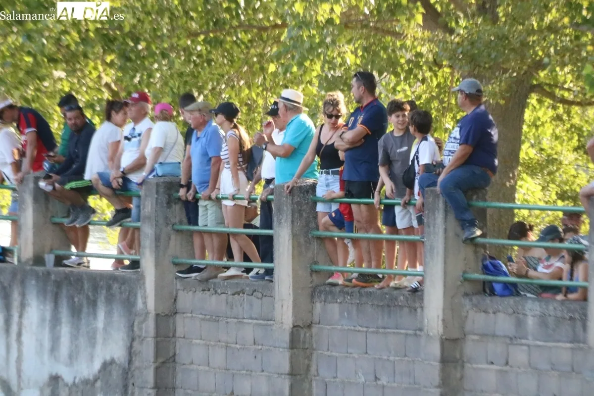 Desenjaule de los novillos que se lidiarán los días 25, 26, 27 y 28 de agosto en Aldeadávila / CORRAL 