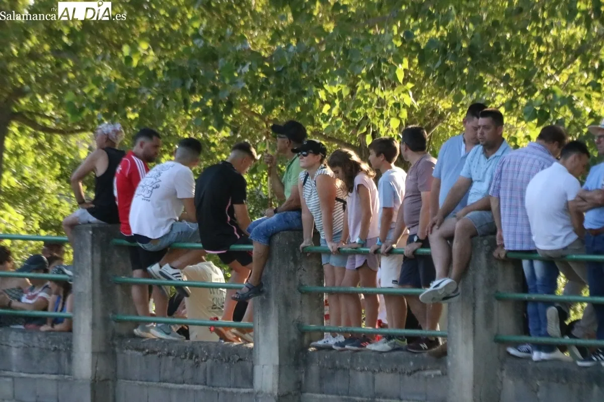 Desenjaule de los novillos que se lidiarán los días 25, 26, 27 y 28 de agosto en Aldeadávila / CORRAL 