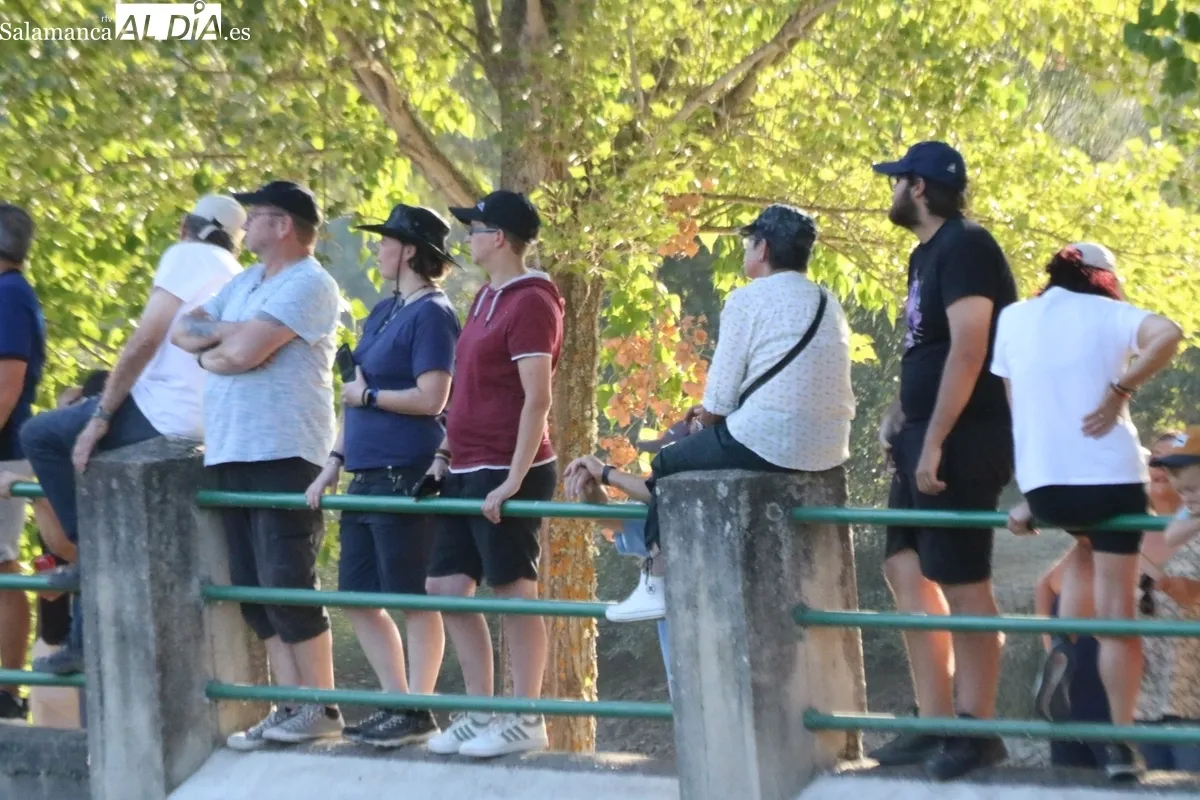 Desenjaule de los novillos que se lidiarán los días 25, 26, 27 y 28 de agosto en Aldeadávila / CORRAL 