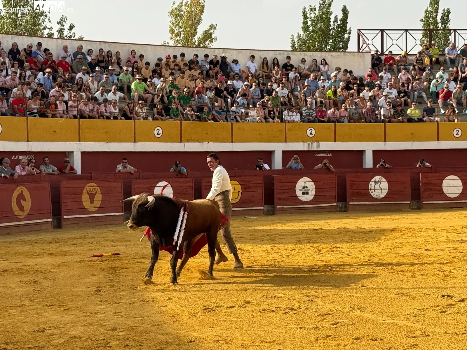 Foto 4 - Brillante Festival Taurino Mixto sin picadores de Macotera