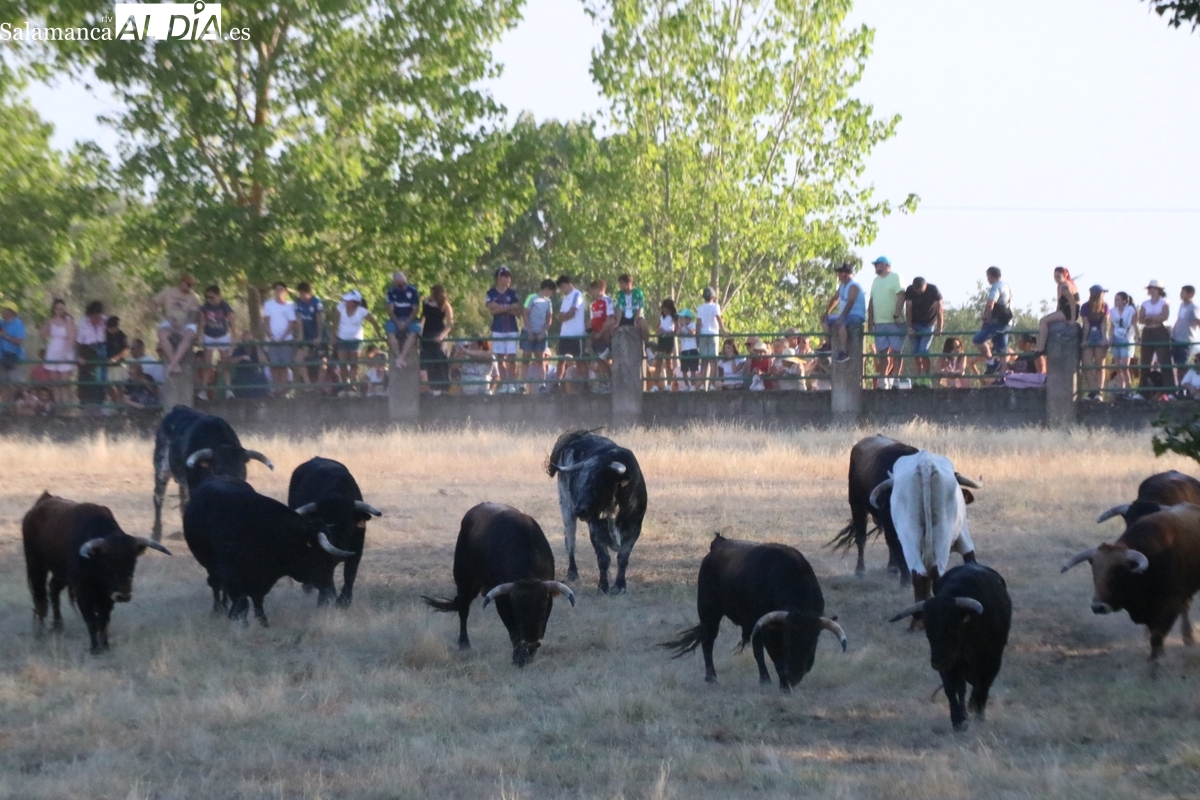 Fiestas de Aldeadávila 2025: programa de San Bartolo