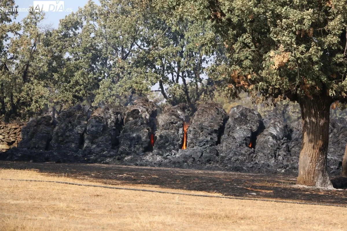 Imágenes en Villar de Peralonso, Gejo de los Reyes, Villaseco de los Reyes, El Gróo y Cerezal de Puertas / CORRAL  