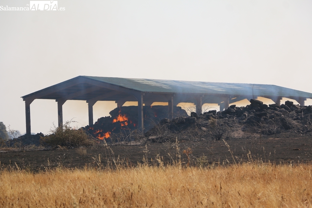La Diputación pide declarar zona catastrófica el incendio de Cipérez