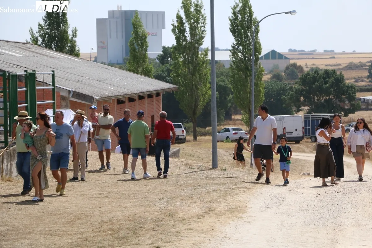 La Feria y Concurso de Ganado de Vitigudino volvía seis años después / CORRAL 