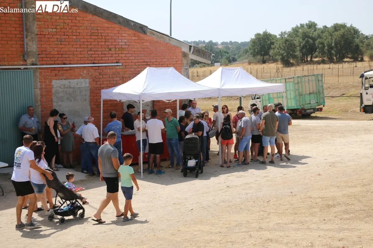 La Feria y Concurso de Ganado de Vitigudino volvía seis años después / CORRAL 