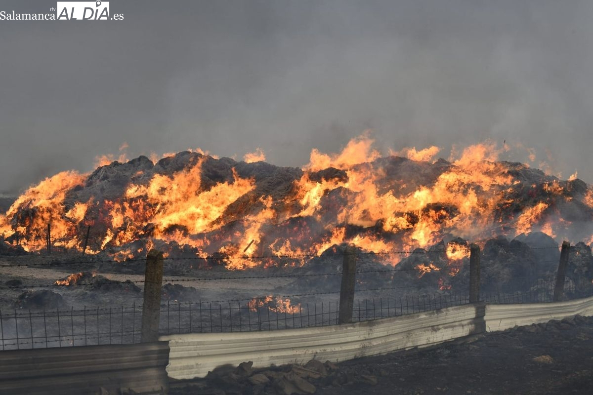 El PSOE plantea ayudas para los ganaderos y agricultores afectados por el incendio del Campo Charro
