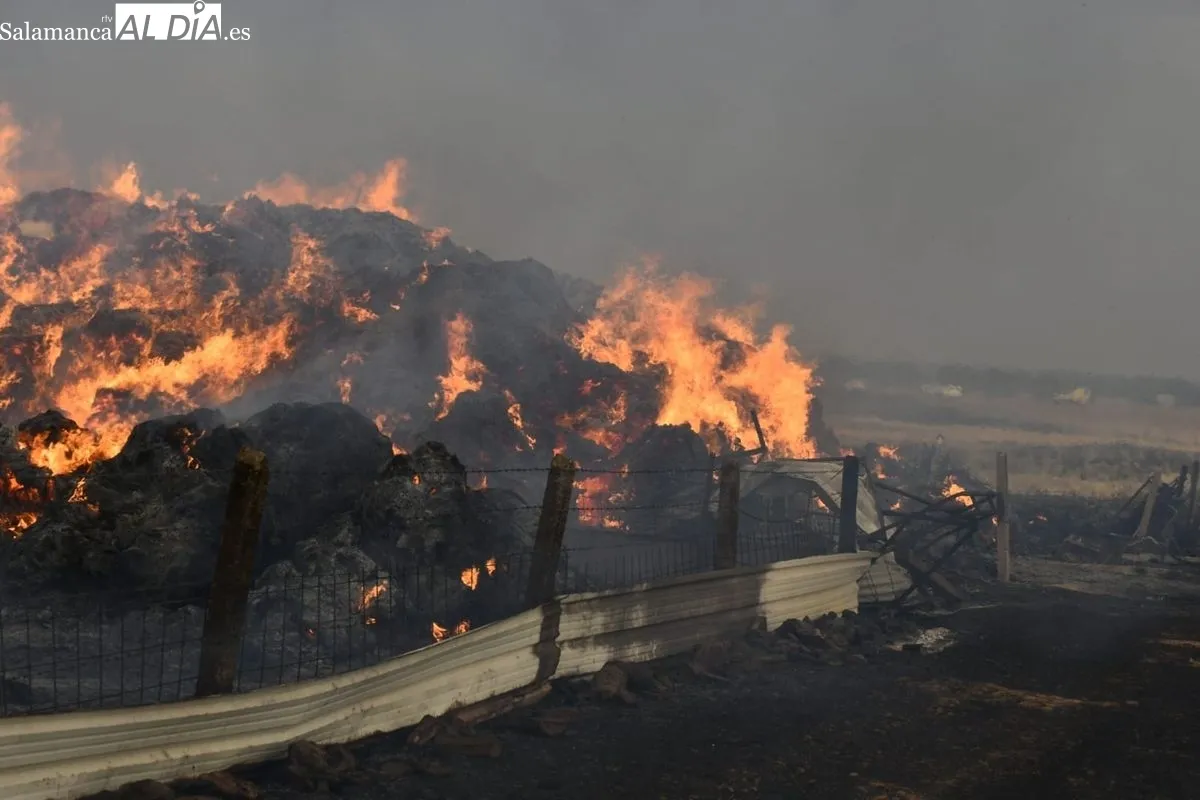 Incendio en Martín de Yeltes. Foto de Adrián M. Pastor