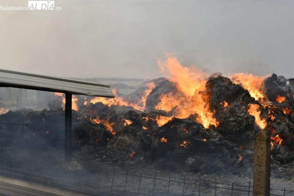 Incendio en Martín de Yeltes. Foto de Adrián M. Pastor
