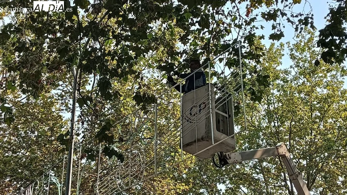 Instalación de la luces que adornarán durante las Fiestas de Salamanca el Recinto Ferial de la Aldehuela. Foto T. Sánchez