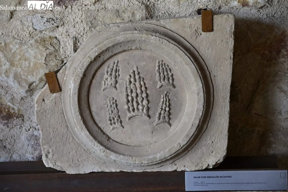 Visita guiada Museo Cerro de San Vicente