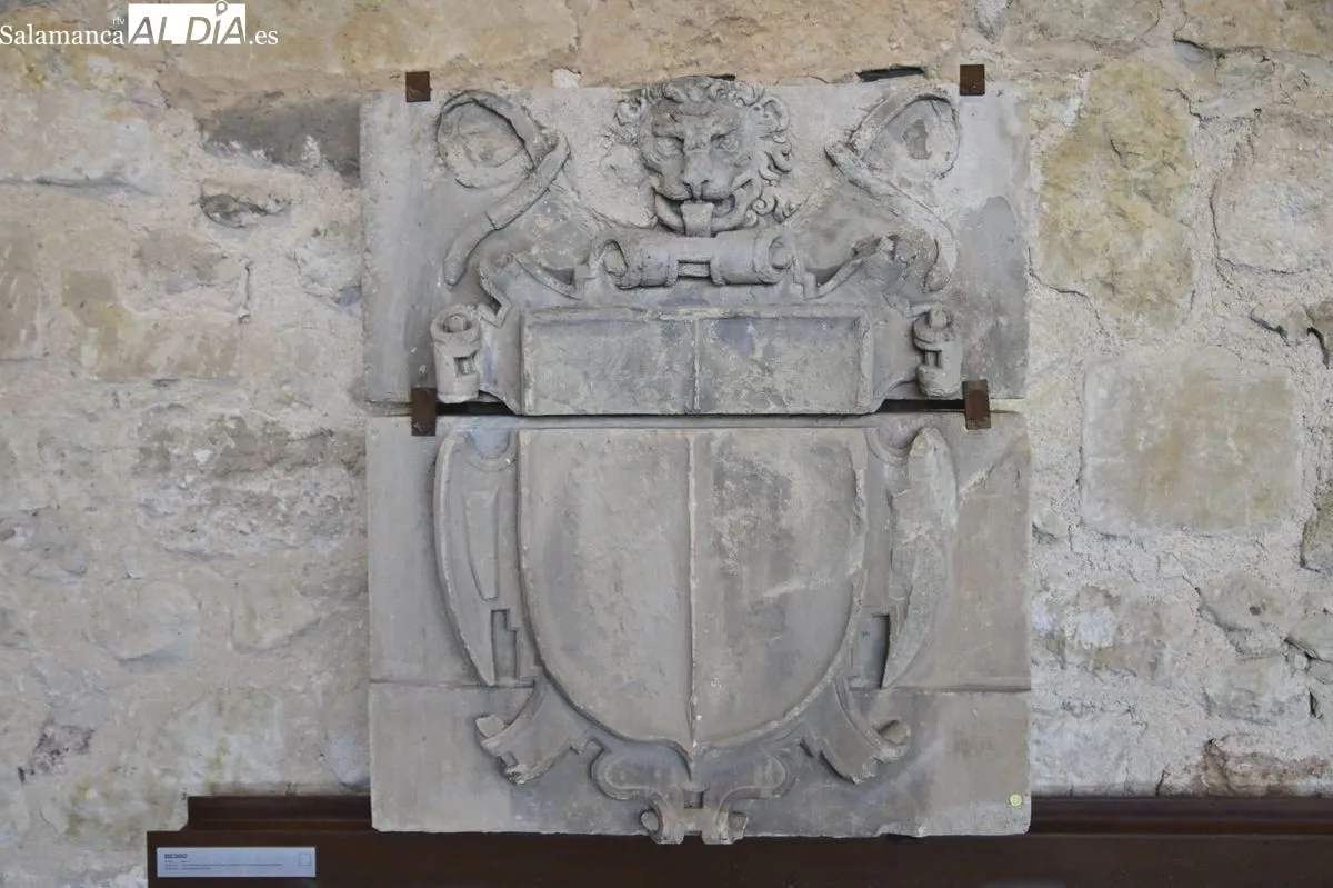 Visita guiada Museo Cerro de San Vicente