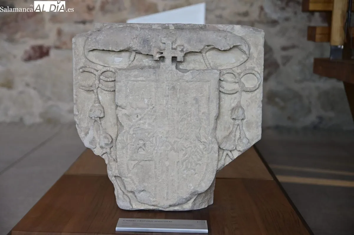 Visita guiada Museo Cerro de San Vicente