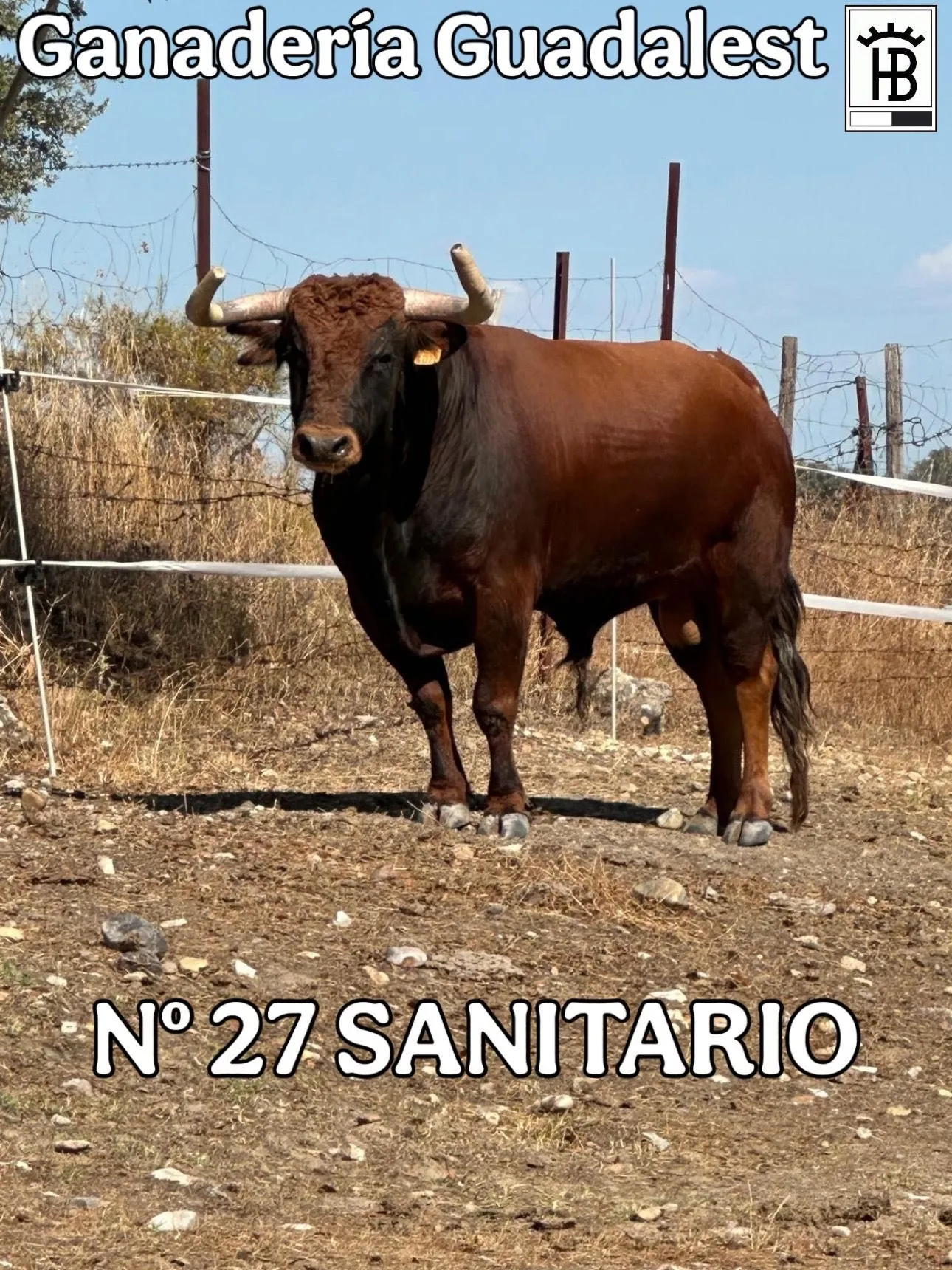 Foto 3 - Jos&eacute; Mar&iacute;a Trigueros repetir&aacute; encerrona en solitario en Miranda del Casta&ntilde;ar 