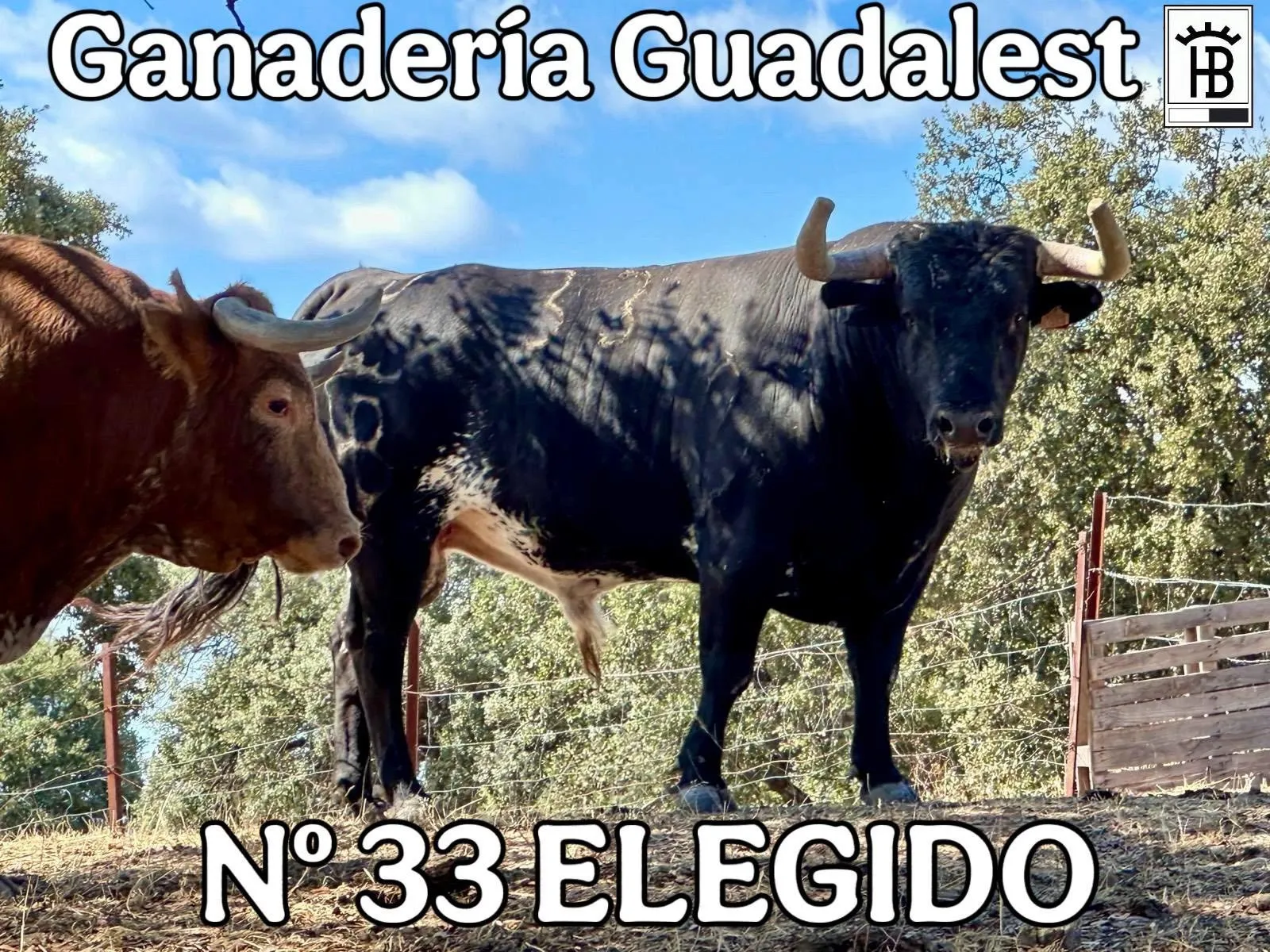 Foto 2 - Jos&eacute; Mar&iacute;a Trigueros repetir&aacute; encerrona en solitario en Miranda del Casta&ntilde;ar 