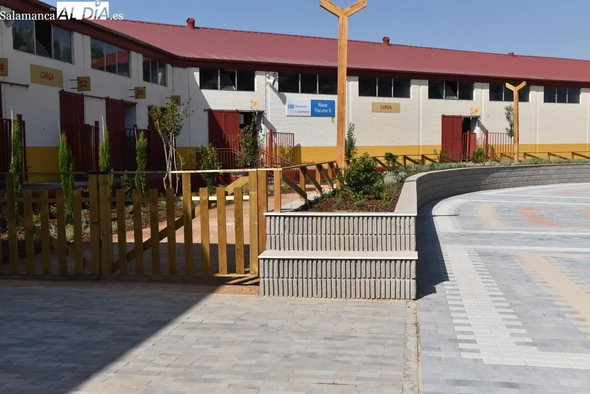 Nuevo bulevar del Recinto Ferial de la Diputación de Salamanca. Fotos: Miguel Á. González