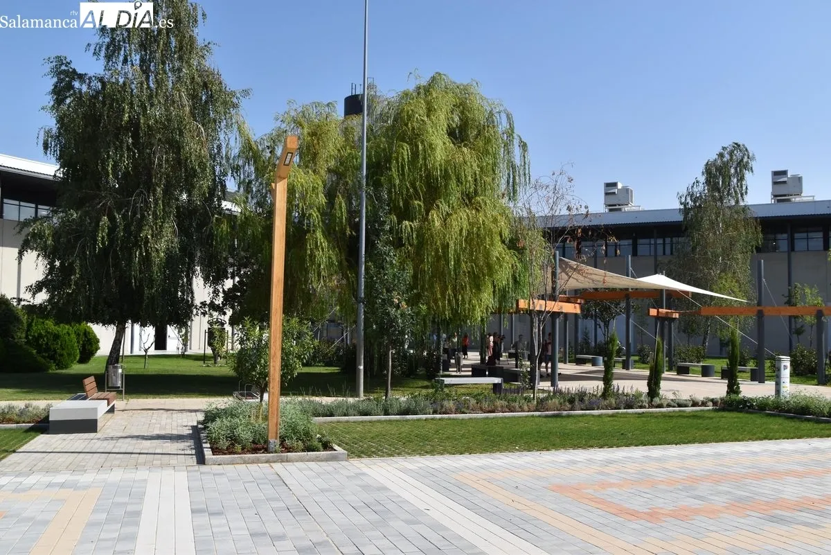 Nuevo bulevar del Recinto Ferial de la Diputación de Salamanca. Fotos: Miguel Á. González