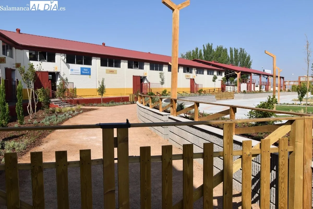 Nuevo bulevar del Recinto Ferial de la Diputación de Salamanca. Fotos: Miguel Á. González