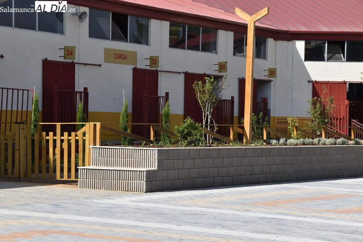 Nuevo bulevar del Recinto Ferial de la Diputación de Salamanca. Fotos: Miguel Á. González